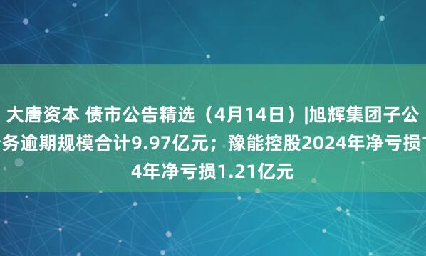 大唐资本 债市公告精选（4月14日）|旭辉集团子公司发生债务逾期规模合计9.97亿元；豫能控股2024年净亏损1.21亿元