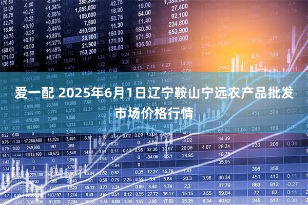 爱一配 2025年6月1日辽宁鞍山宁远农产品批发市场价格行情