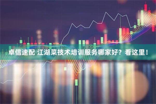 卓信速配 江湖菜技术培训服务哪家好？看这里！