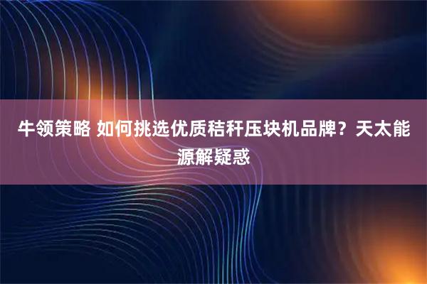 牛领策略 如何挑选优质秸秆压块机品牌？天太能源解疑惑