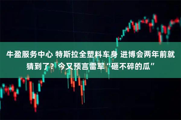 牛盈服务中心 特斯拉全塑料车身 进博会两年前就猜到了？今又预言雷军“砸不碎的瓜”