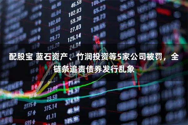 配股宝 蓝石资产、竹润投资等5家公司被罚，全链条追责债券发行乱象